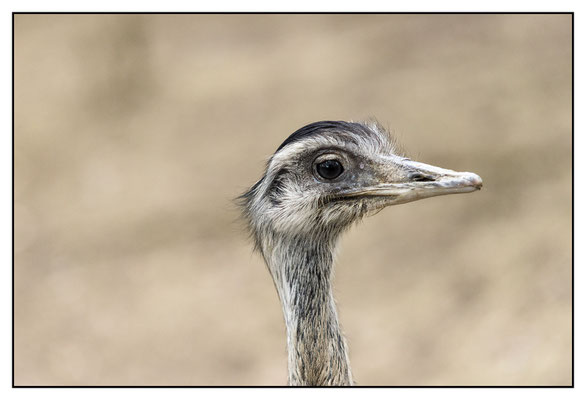 Tierpark Schmiding
