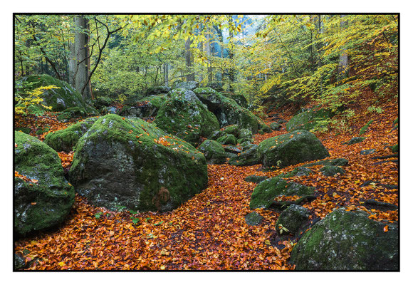 Ysperklamm