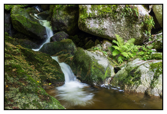 Ysperklamm - Dezember 2025