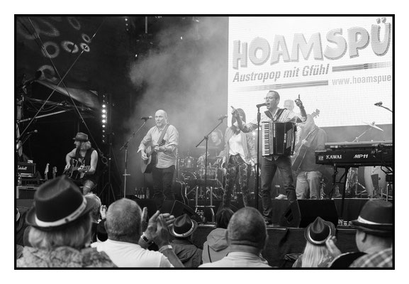 Musik Festival Wels 2021