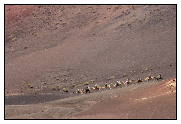Lanzarote 2025