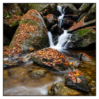 Ysperklamm 2024