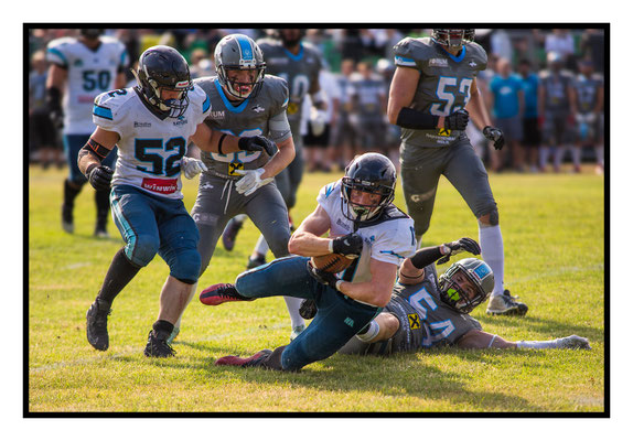 Huskies Wels 2023