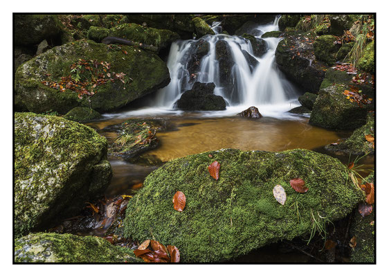 Ysperklamm