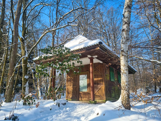 Wir machen einen wunderschönen Winterspaziergang rund um Bad Sachsa