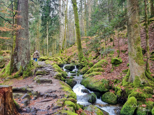 Ein wildromantischer Weg führt am Gertelbach entlang