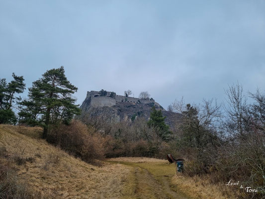 Die Festungsruine vom Panoramawanderweg aus