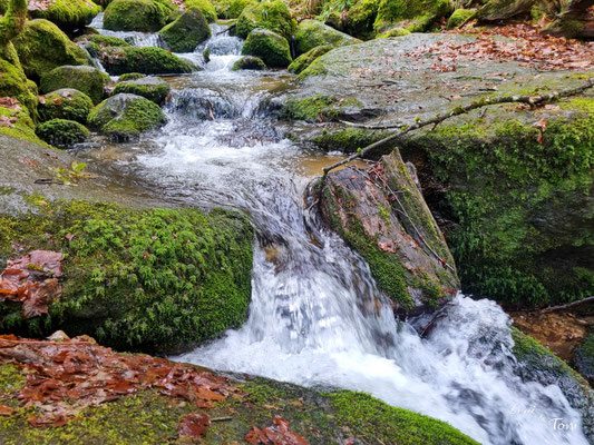 Die Gertelbacher Wasserfälle