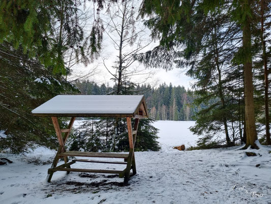 Picknickplatz direkt am See