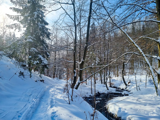 Die Wanderwege sind trotz der Schneedecke begehbar