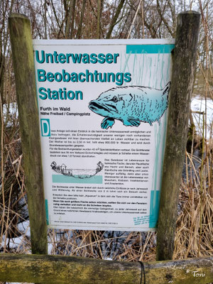 Sie befindet sich innerhalb des Wildgartens Furth im Wald