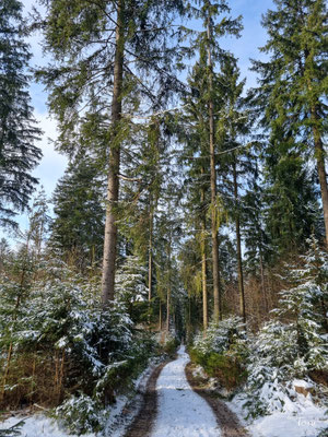 Ein wunderschönes Wald- und Wandergebiet