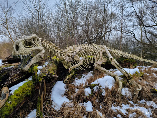 Den T-Rex gibt es mit echtem Dinogebrüll