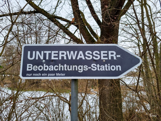 Die Unterwasserbeobachtungsstation ist in der ganzen Stadt ausgeschildert