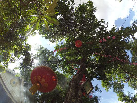 Wat Phnom