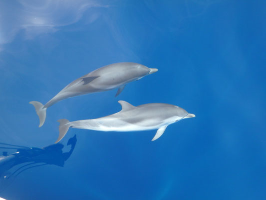 Segelreise Italien Familie
