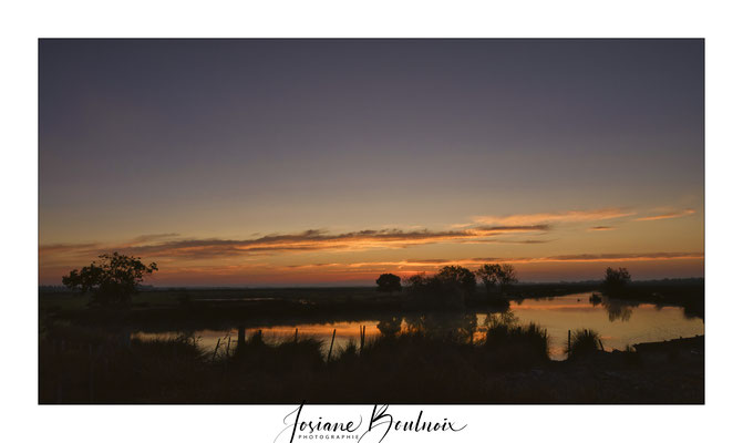 Camargue