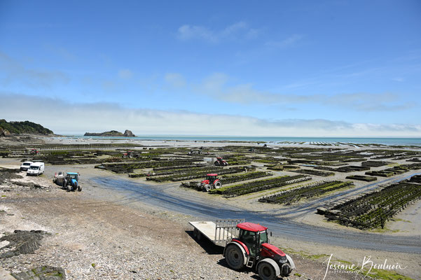 Cancale 