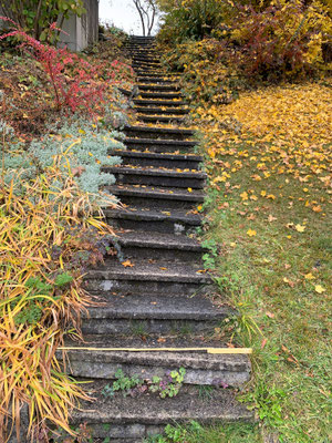 Treppe mit Charme