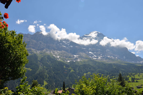 Blick von der Terrasse auf den Eiger im Sommer...