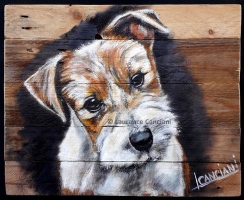 Youki Fox terrier: 41x50cm=150€