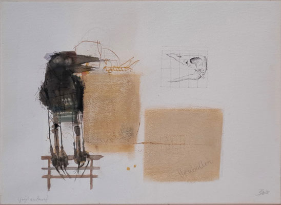 Vogel am Zaun (Kreide, Tusche, P.) 30x40