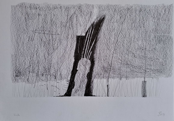 Weide  (Graphit, Bleistift, Rötel) 30x40