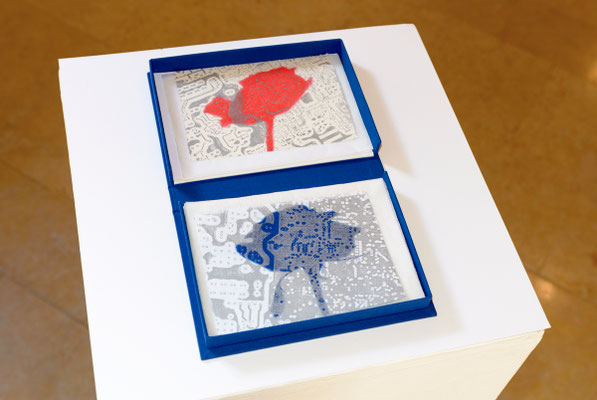 Schattenwurf Rose. Trotte Arlesheim, Schweiz, 2016