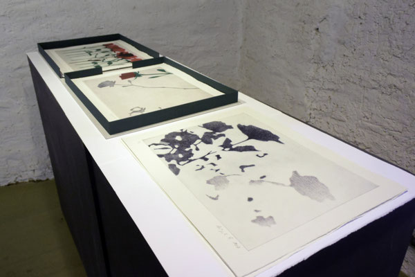 Memento Mori (Rosina's Rosen). Das Buch als Gesamtkunstwerk. Salzhaus während der Brugger Literaturtage, Brugg, Schweiz, 2018 