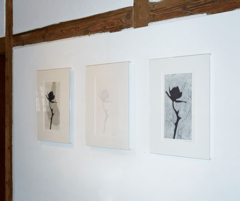 Schattenwurf Schatten, diese Exemplare unterscheiden sich durch unterschiedliche Bildhintergründe. Trotte Arlesheim, Schweiz, 2016