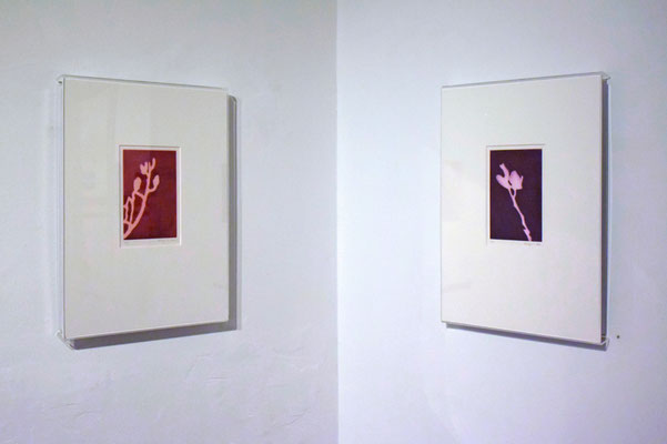 Reflexion. Museum Design Collection Basel, Schweiz, 2020