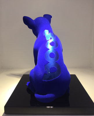 Fabienne Arietti-