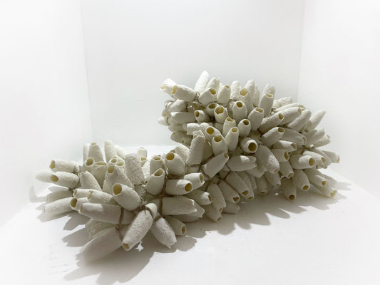 Bénédicte Vallet, artiste présente salon revelation