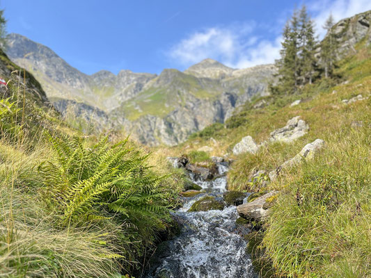 Wasser