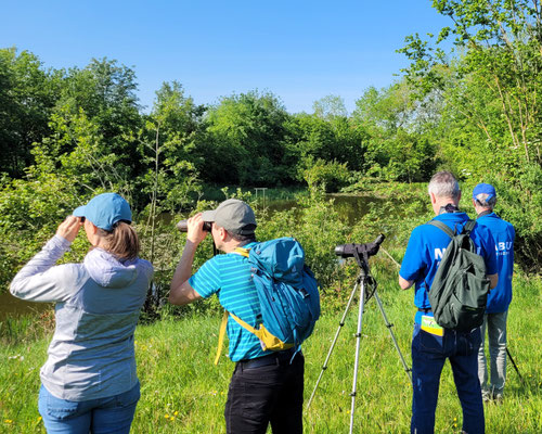 Vogelwanderung zwischen Almendorf und Steinhaus Mai 2024