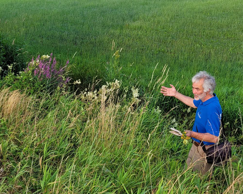 Sommerabendspaziergang entlang der Wanne August 2025