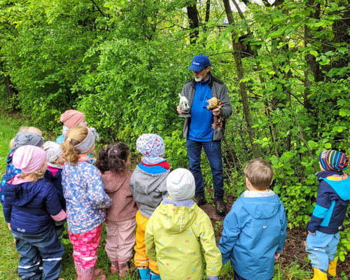 Natur auf der Spur mit Kindergarten