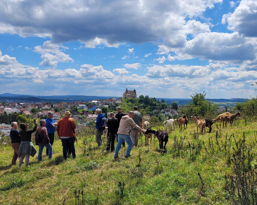 Besuch aus den Partnerstädten Billère und Sabiñánigo im Juni 2024