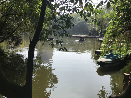 backpacking-china-chengdu-peoples-park-see