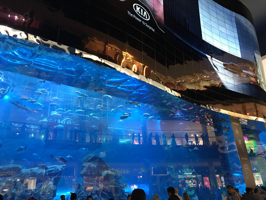 backpacking-dubai-dubai-mall-aquarium-ansicht