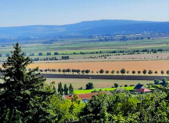 Blick in die Goldene Aue