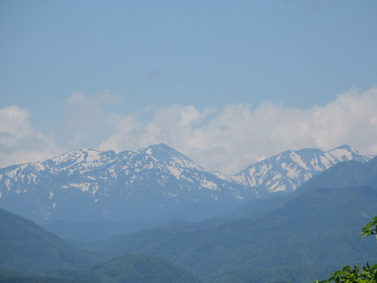 その向こうには残雪の山　こちらは火打・妙高山か？？