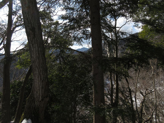 木々の間から、ピンポイントで大山の三角山頂の小窓