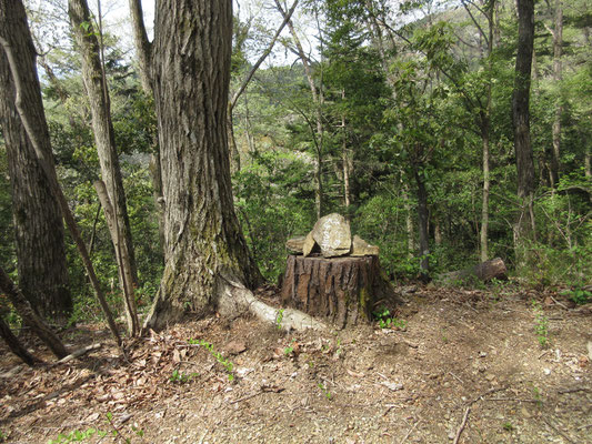 看板2　一休み処のようです　休まなかったけど…