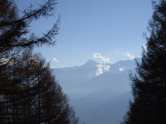 ここからは日本第二の高峰の北岳山頂もきれいに望めました