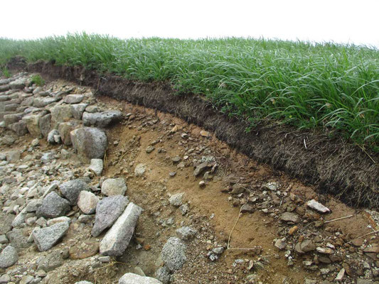 御西岳に続く途中、登山道が広くなってちょっと荒れた感じのところでは、草原の断面がむき出しになっていて、地層がきれいに見えていました　とても不思議な重なりです