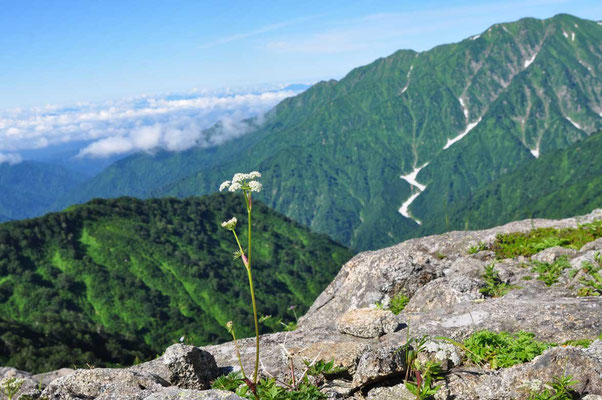 大日岳から連なる牛首山や櫛ヶ岳のほう