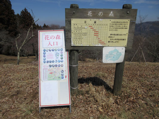のんびり昼休憩後にいよいよ頂上一帯の公園に入ってくる