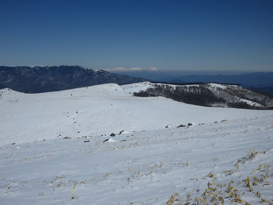 この北の耳・南の耳を経由して笹ヶ峰から殿城山を熱中症になりかけてグルリ巡った一昨年の夏　この景色からは想像もできない
