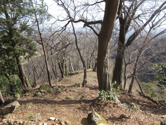 見下ろしてもすごい急な尾根だ